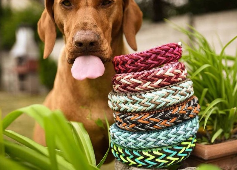 Ошейник для собаки своими руками: шьем и вяжем из паракорда | Ошейники для собак, Паракорд, Собаки