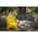Гамак туристический желтый повышенной прочности с карманом (Россия) от Магазин паракорда и фурнитуры Survival Market