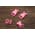 Фастекс 16 мм - розовый от Магазин паракорда и фурнитуры Survival Market