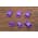 Фастекс 10 мм - фиолетовый от Магазин паракорда и фурнитуры Survival Market