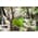 Гамак туристический ярко-зеленый повышенной прочности с карманом (Россия) от Магазин паракорда и фурнитуры Survival Market